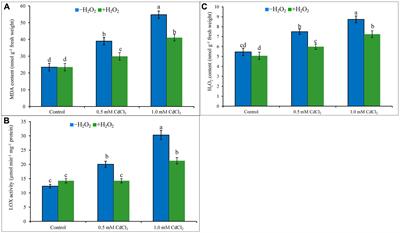 Hydrogen Peroxide Pretreatment Mitigates Cadmium-Induced Oxidative Stress in Brassica napus L.: An Intrinsic Study on Antioxidant Defense and Glyoxalase Systems